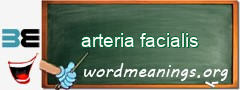 WordMeaning blackboard for arteria facialis